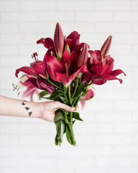 beautiful-bouquet-color-1179026