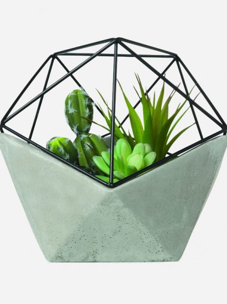 product10