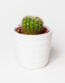 La Boheme White/Grey