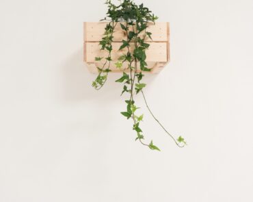 federica-galli-571119-unsplash-min
