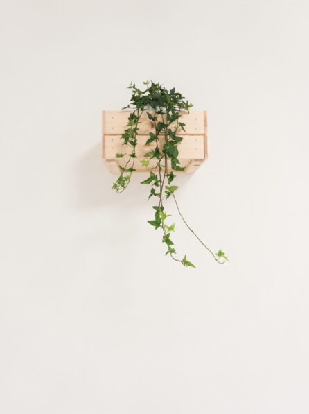 federica-galli-571119-unsplash-min