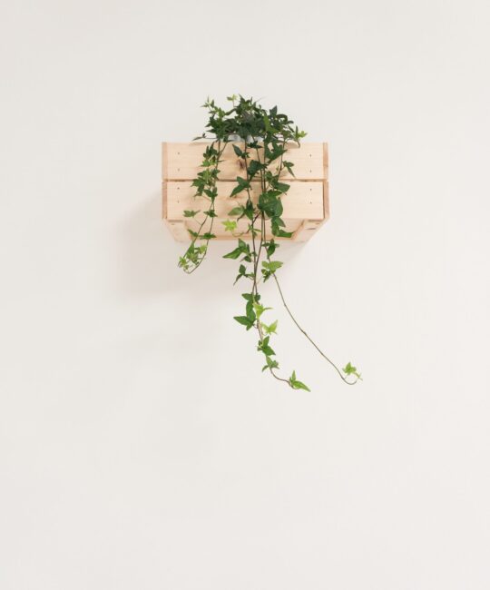 federica-galli-571119-unsplash-min