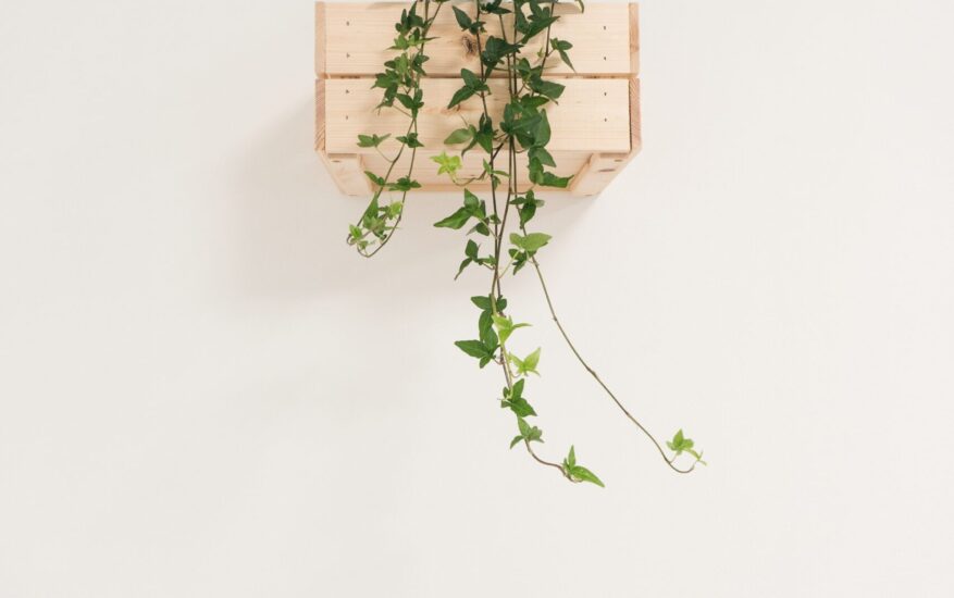federica-galli-571119-unsplash-min