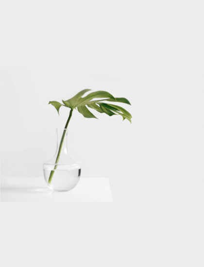 sarah-dw123483-unsplash-min