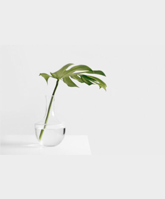 sarah-dw123483-unsplash-min