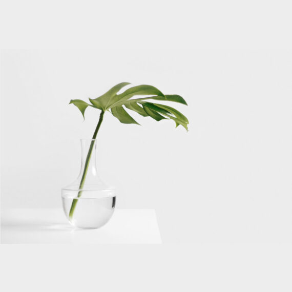 sarah-dw123483-unsplash-min