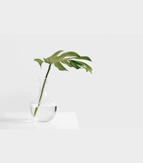 sarah-dw123483-unsplash-min