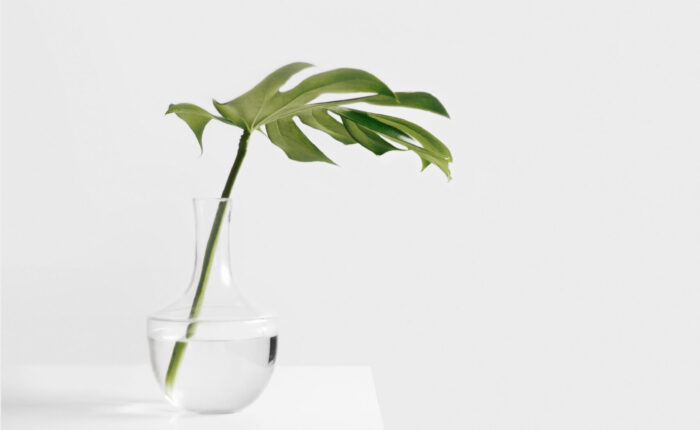 sarah-dw123483-unsplash-min