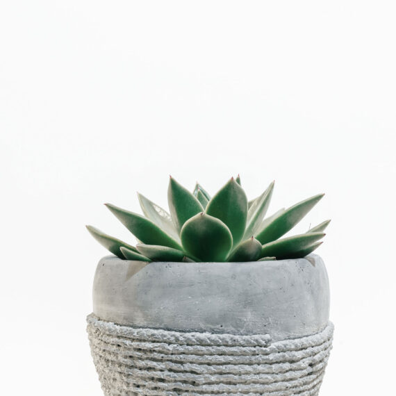 scott-webb-426972-unsplash-mi